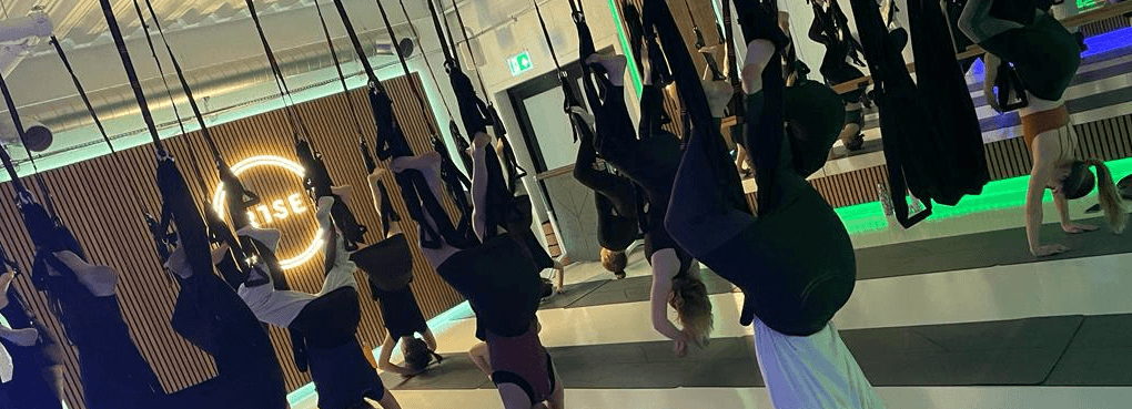 Aerial Beginners Course