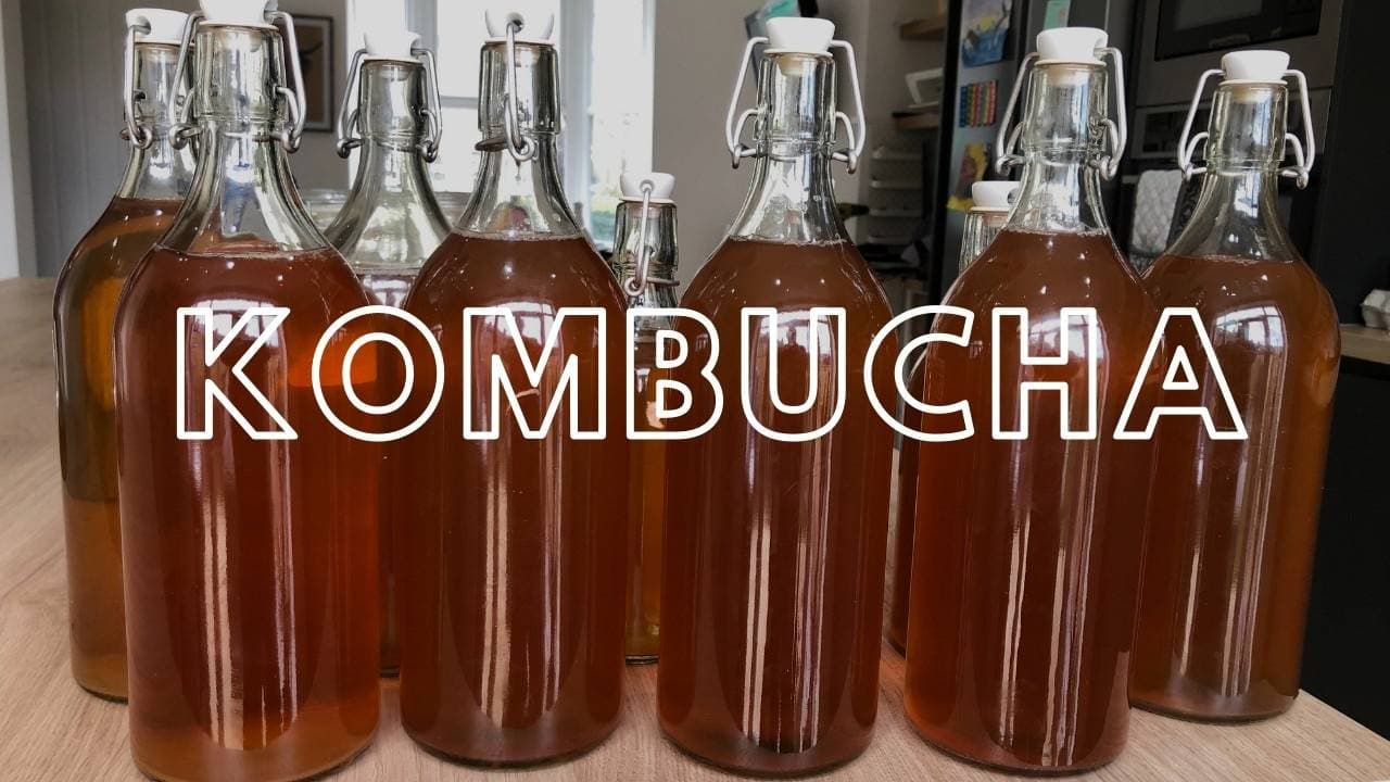 Kombucha my new beer